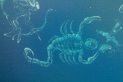 bdf7dd445b